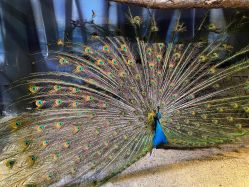 -酷嗒动物文化乐园(cutezoo西溪乐天城店)