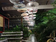 -南宫五洲植物乐园