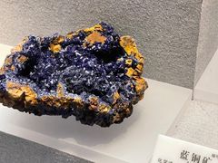 -贵州省地质博物馆