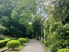 -紫马岭公园