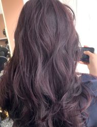 点击看大图 -IP SALON