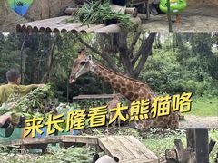 -广州长隆野生动物世界