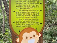 -大岭沟猕猴桃谷风景区