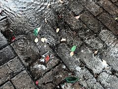 -天鹅湖体育公园
