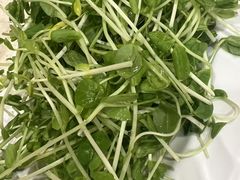-八先生涮肉房(三里河店)