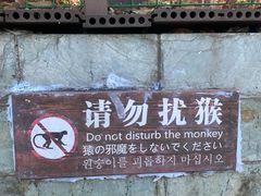 -句容茅山景区