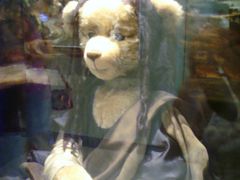 -济州岛泰迪熊博物馆