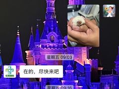 -雨林宠物医院 非犬猫异宠专科