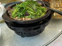-金华安大酒楼·老牌潮菜·粤式茶点(东方国际店)