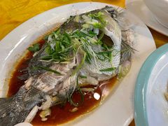 -鸿达渔港