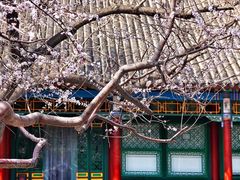 -张学良旧居陈列馆(大帅府)