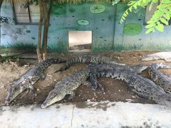 -泉州海丝野生动物世界