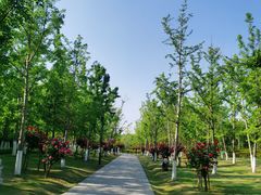 -狼山风景名胜区