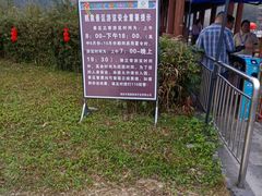 -靖西鹅泉风景区