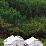 城市出逃计划|山林间的野营⛺️