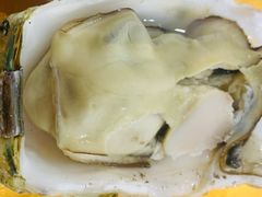 -蚝专家(北滘店)