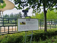 -秦皇岛野生动物园