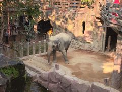 -长鹿旅游休博园