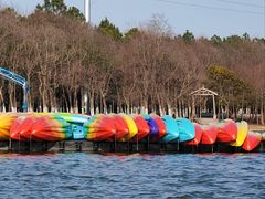 -上海海湾国家森林公园