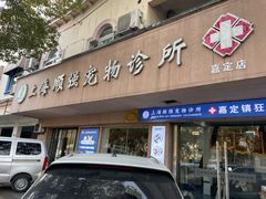 -顺强宠物诊所·狂犬免疫·夜诊·骨科(嘉定店)