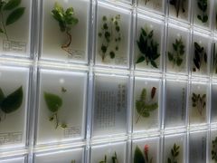 -广东中医药博物馆