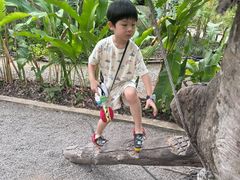 -大象粑粑造纸公园