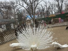 -保定市动物园