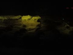 -汉景帝阳陵博物院