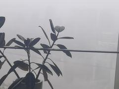 -IFC福州国际金融中心