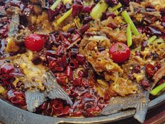 -老板恋上鱼(恒隆广场店)