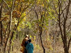 -玉渡山自然风景区