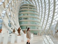 -凤凰中心