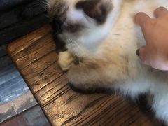 -老屋咖啡