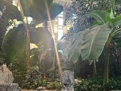 -中家鑫园温泉酒店鑫悦汤泉