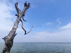 -捞渔河湿地公园