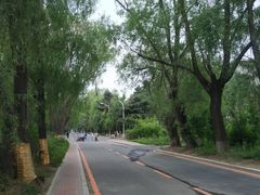 -吉林大学(南岭校区)