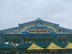 -海合安成都极地海洋公园