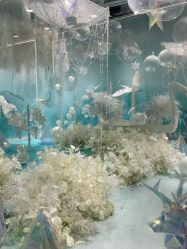 -可优蜜儿童摄影