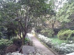 -缙云山景区