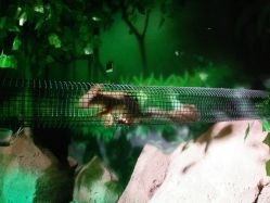 -酷嗒动物文化乐园(cutezoo西溪乐天城店)