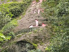 -江郎山风景名胜区