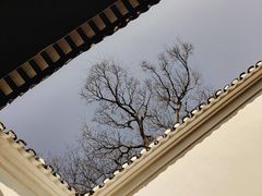 -绮园景区