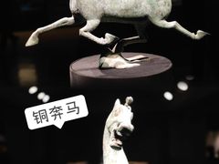 -甘肃省博物馆