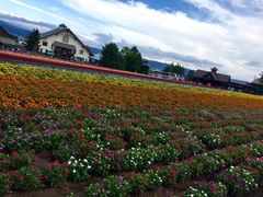 富田农场-富田农场