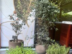 -成都博舍酒店