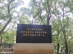 -马王堆汉墓遗址