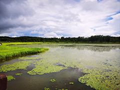 -塞罕坝国家级自然保护区