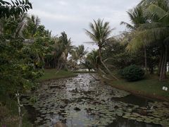 -白沙门生态公园