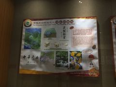 -六合国家地质公园桂子山景区