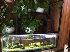 -顶好快餐(市府店)